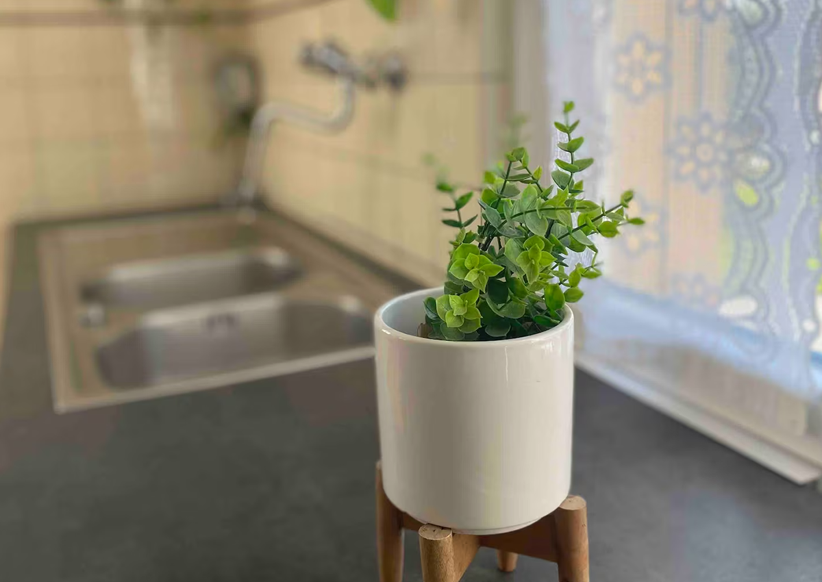 d513525a-0aa7-4c40-97c1-2c39aa2574dd